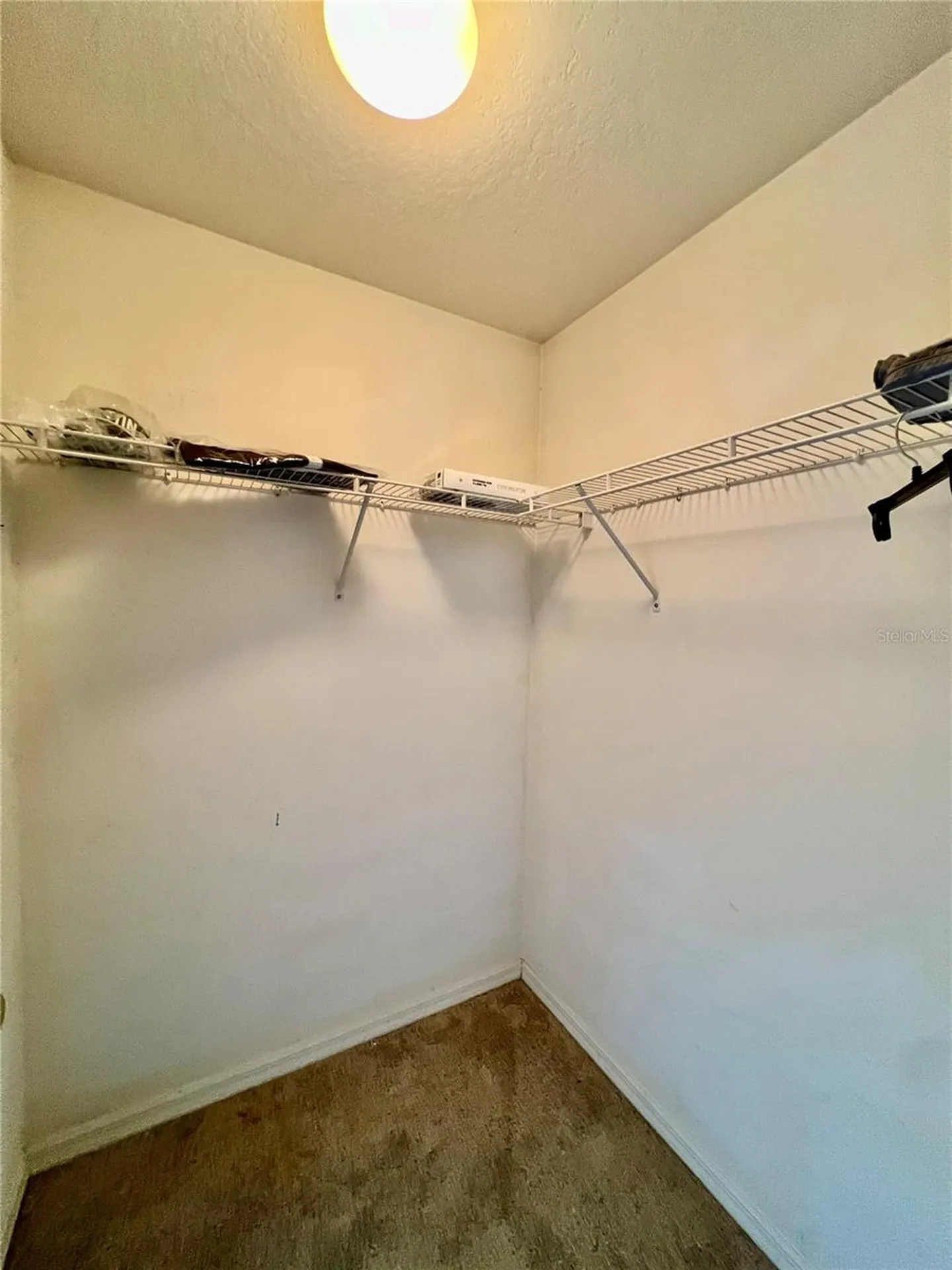 18241 Collridge Drive Tampa FL 33647