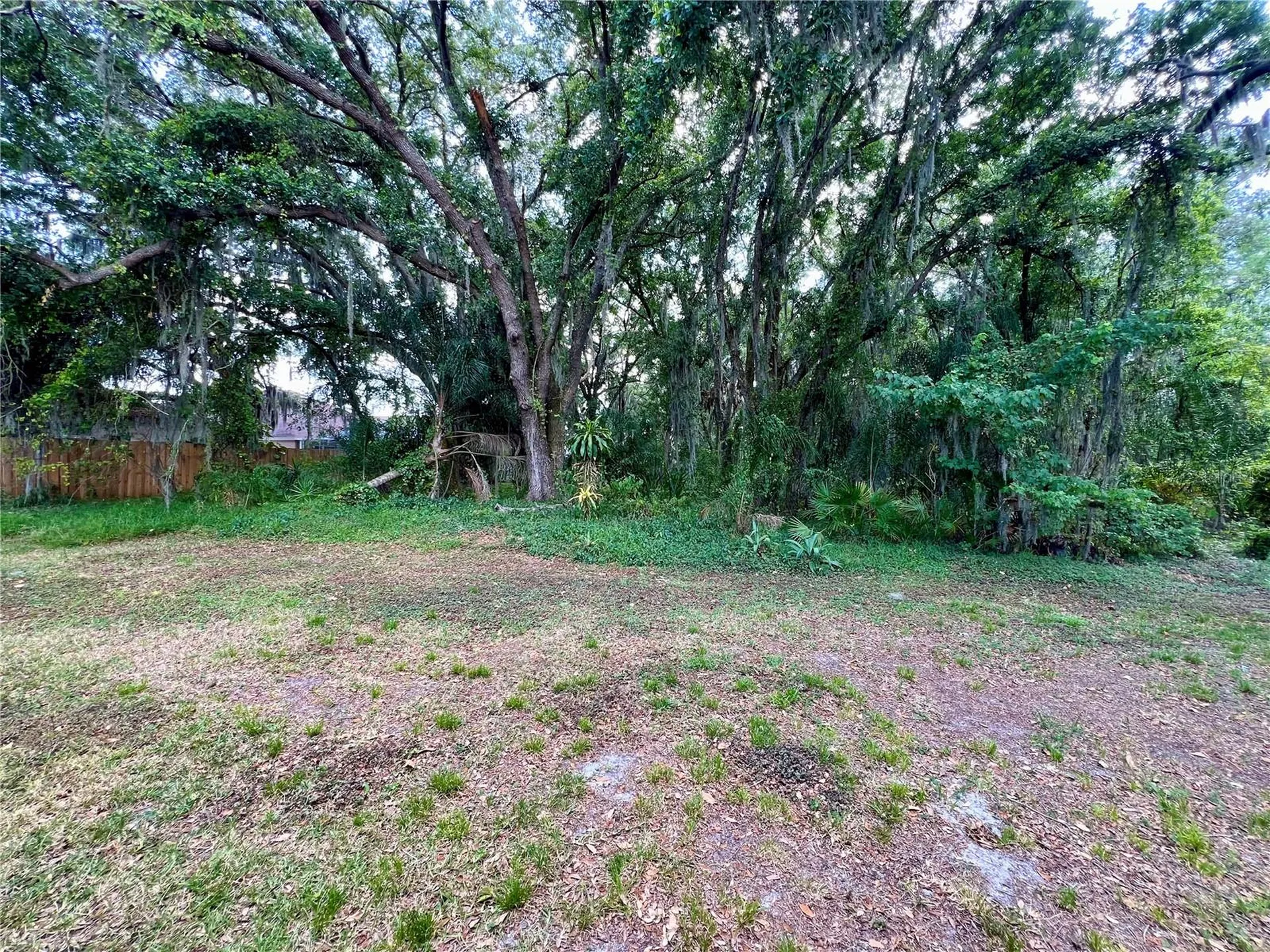 18241 Collridge Drive Tampa FL 33647