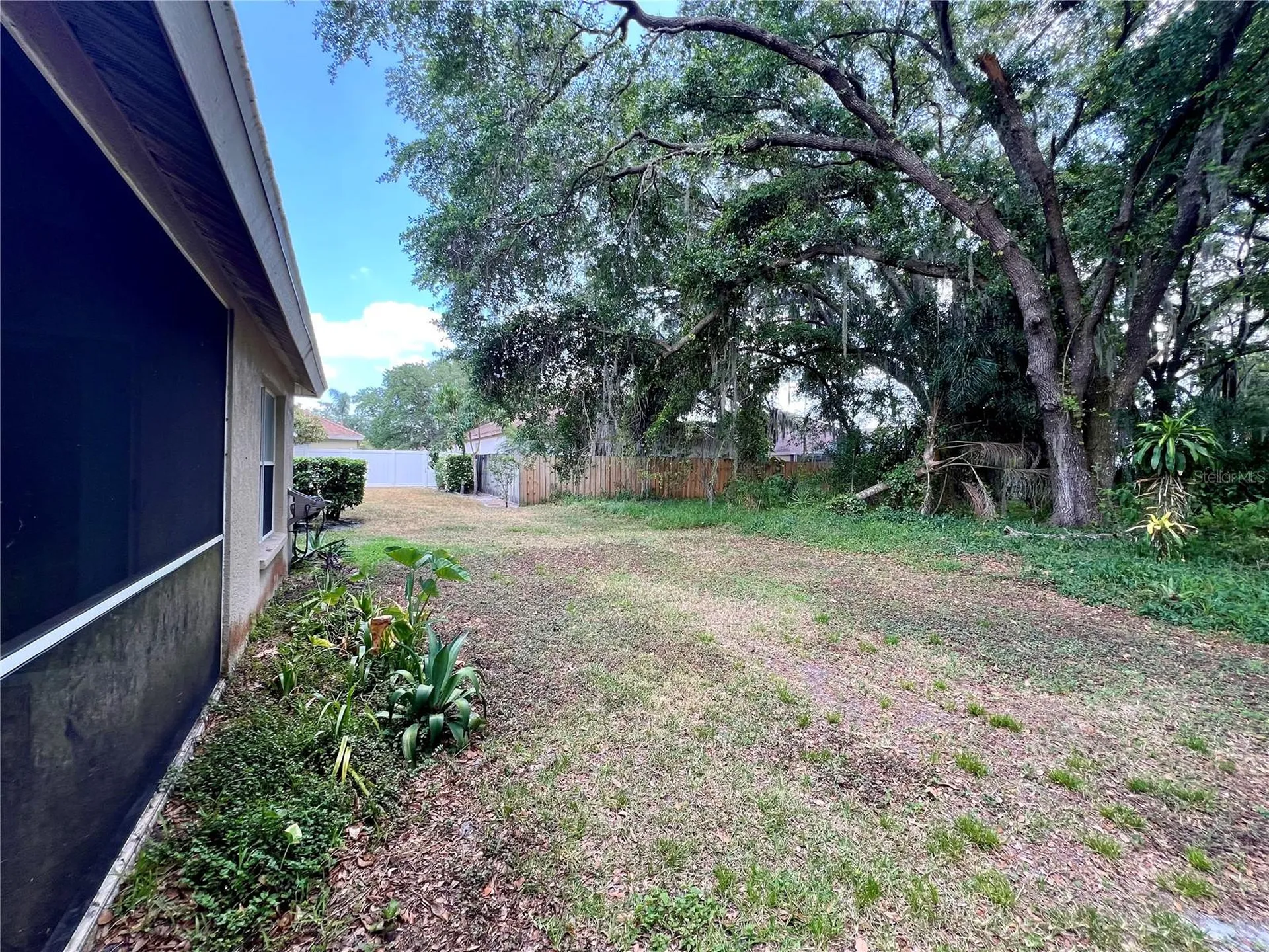 18241 Collridge Drive Tampa FL 33647