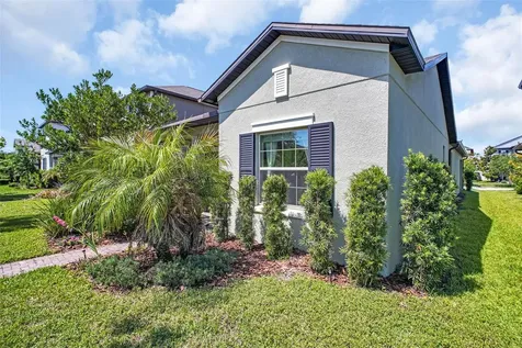 9579 Flourish Drive Land O Lakes FL 34637
