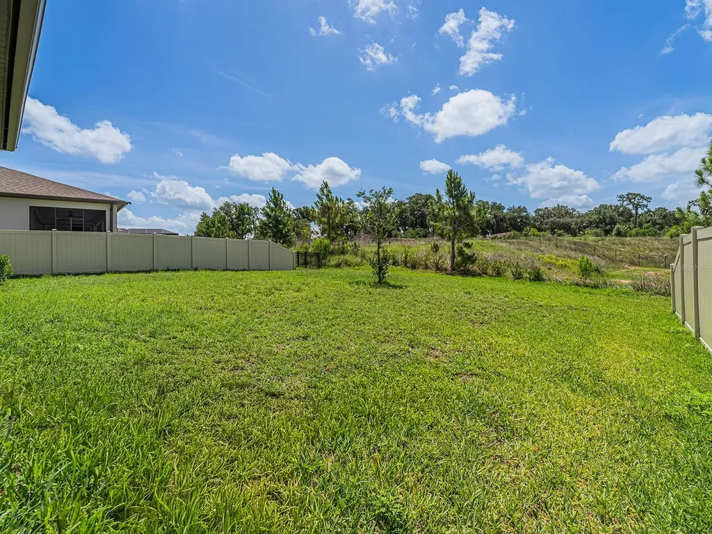 9475 Ibis Grove Boulevard Wesley Chapel FL 33545
