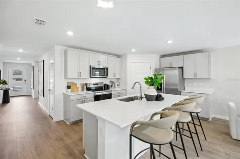 223 Skyfield Court Lady Lake FL 32159