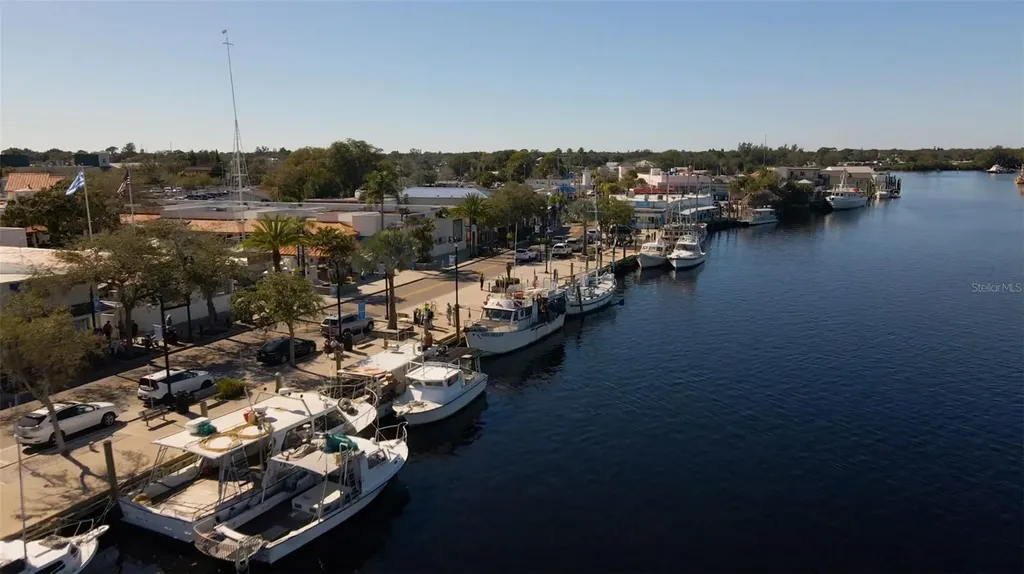 723 Pent Street Tarpon Springs FL 34689