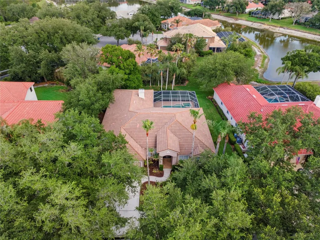 17861 Arbor Greene Drive Tampa FL 33647