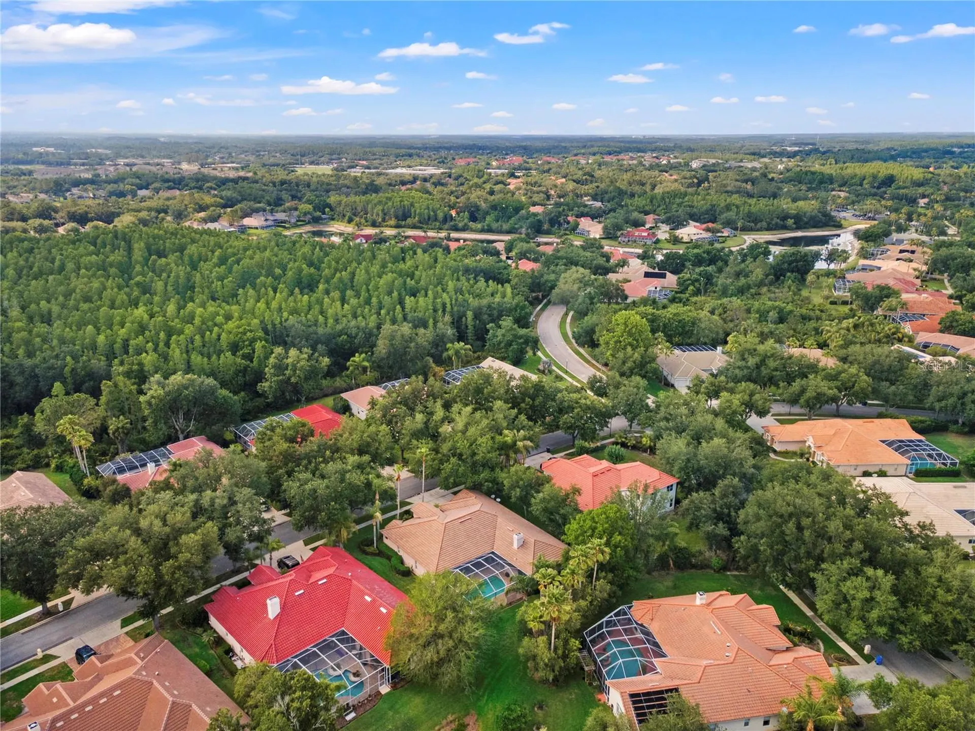 17861 Arbor Greene Drive Tampa FL 33647