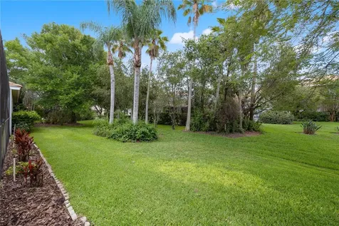 17861 Arbor Greene Drive Tampa FL 33647