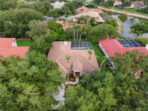 17861 Arbor Greene Drive Tampa FL 33647