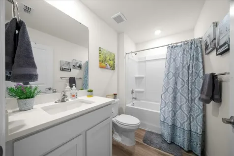 4163 SW 53rd Lane Road Ocala FL 34474