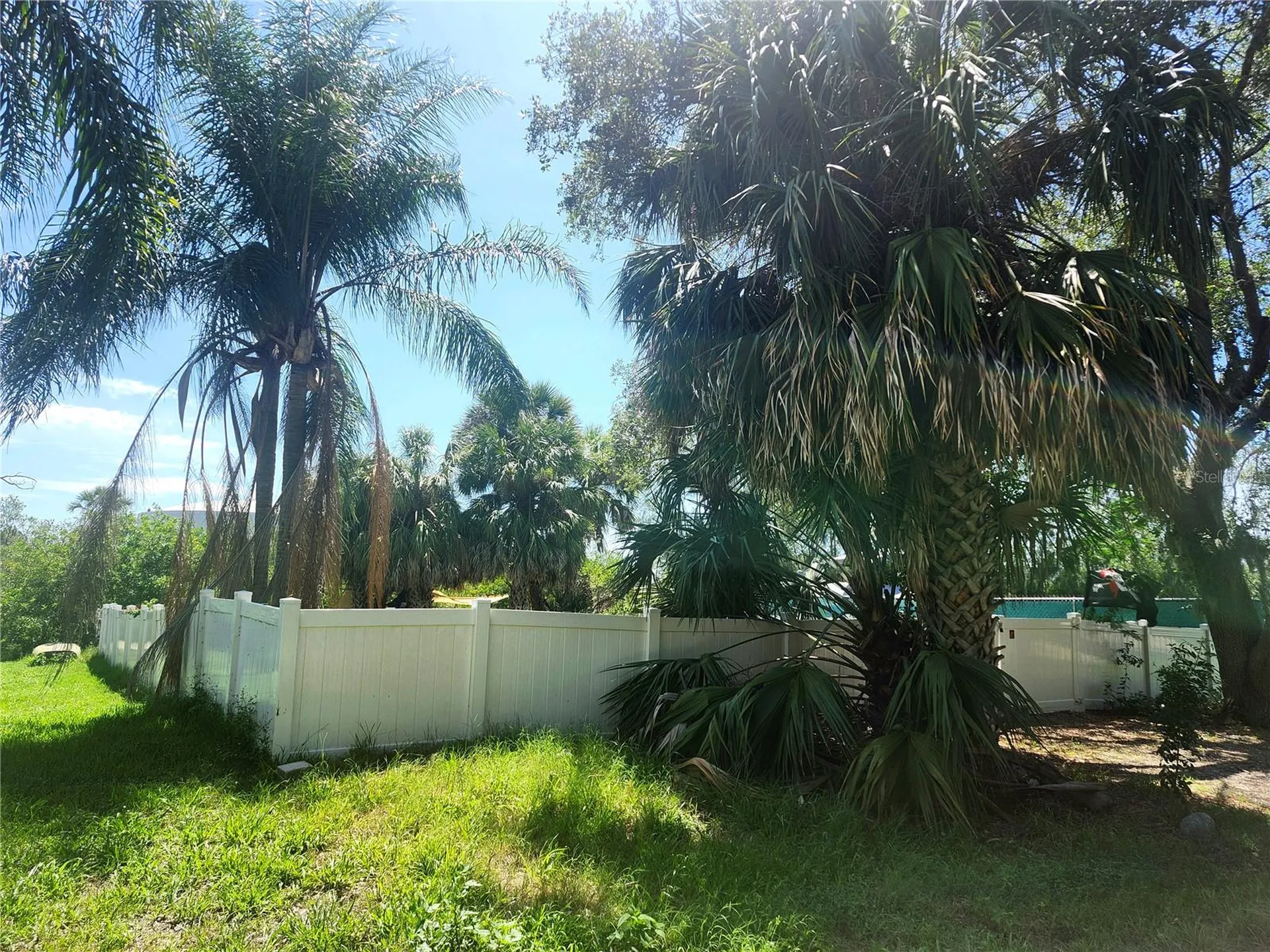4826 Treasure Drive New Port Richey FL 34652