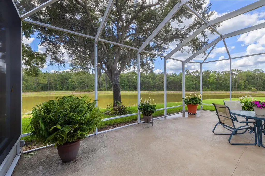 19109 White Wing Place Tampa FL 33647