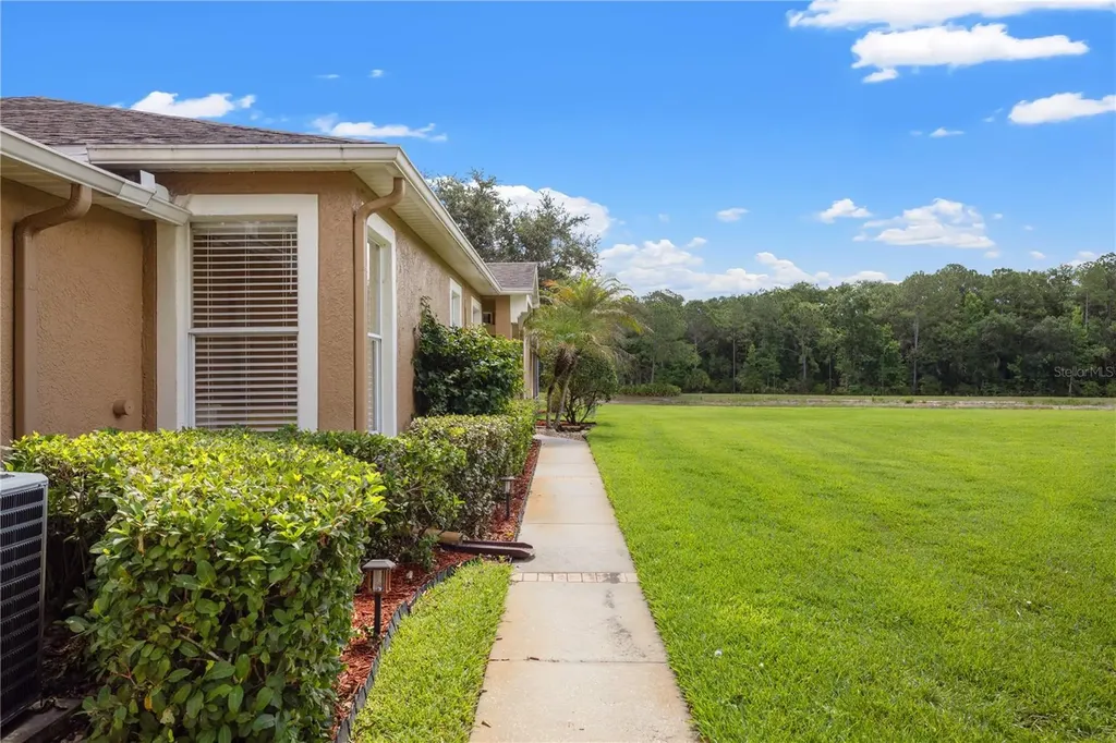 19109 White Wing Place Tampa FL 33647