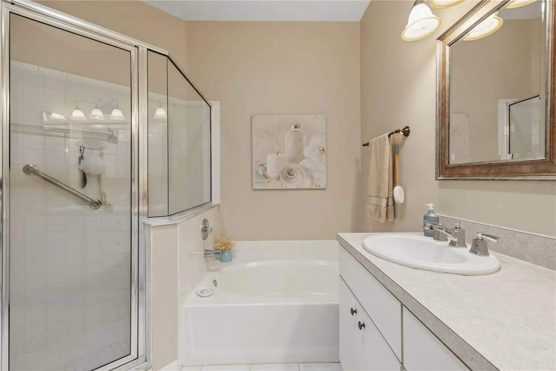 19109 White Wing Place Tampa FL 33647
