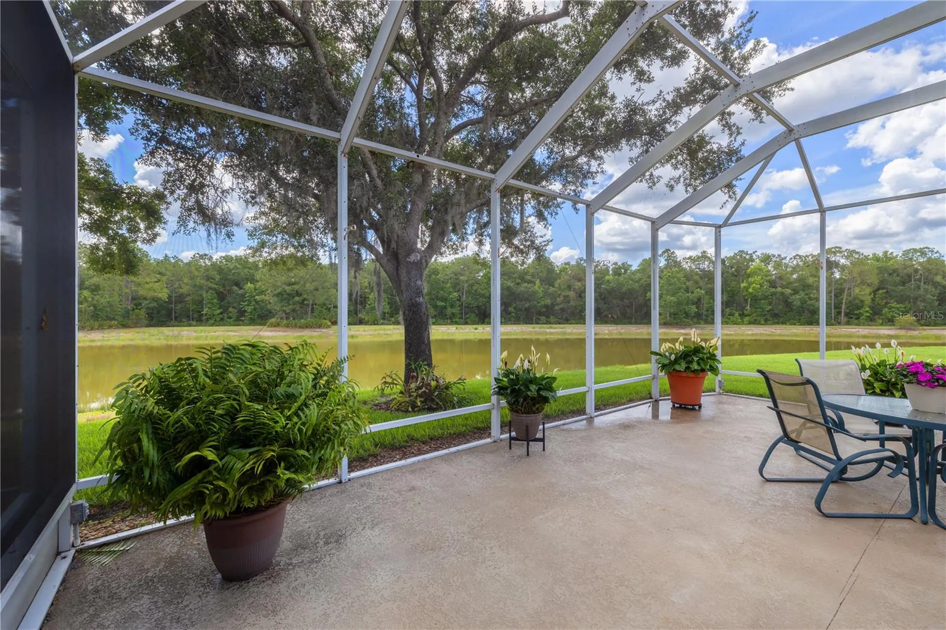 19109 White Wing Place Tampa FL 33647