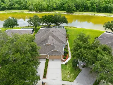 19109 White Wing Place Tampa FL 33647