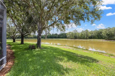 19109 White Wing Place Tampa FL 33647