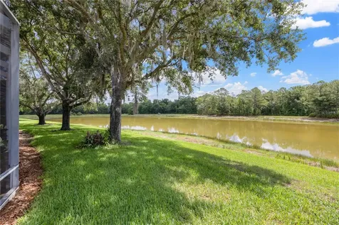 19109 White Wing Place Tampa FL 33647