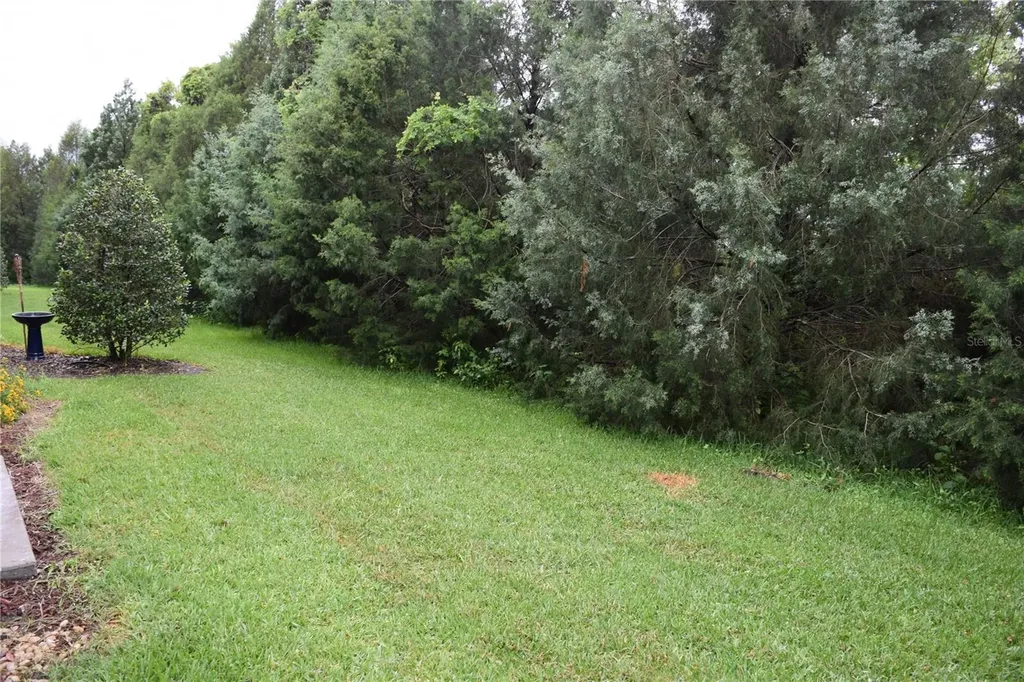 1516 Scarlet Oak Loop Winter Garden FL 34787