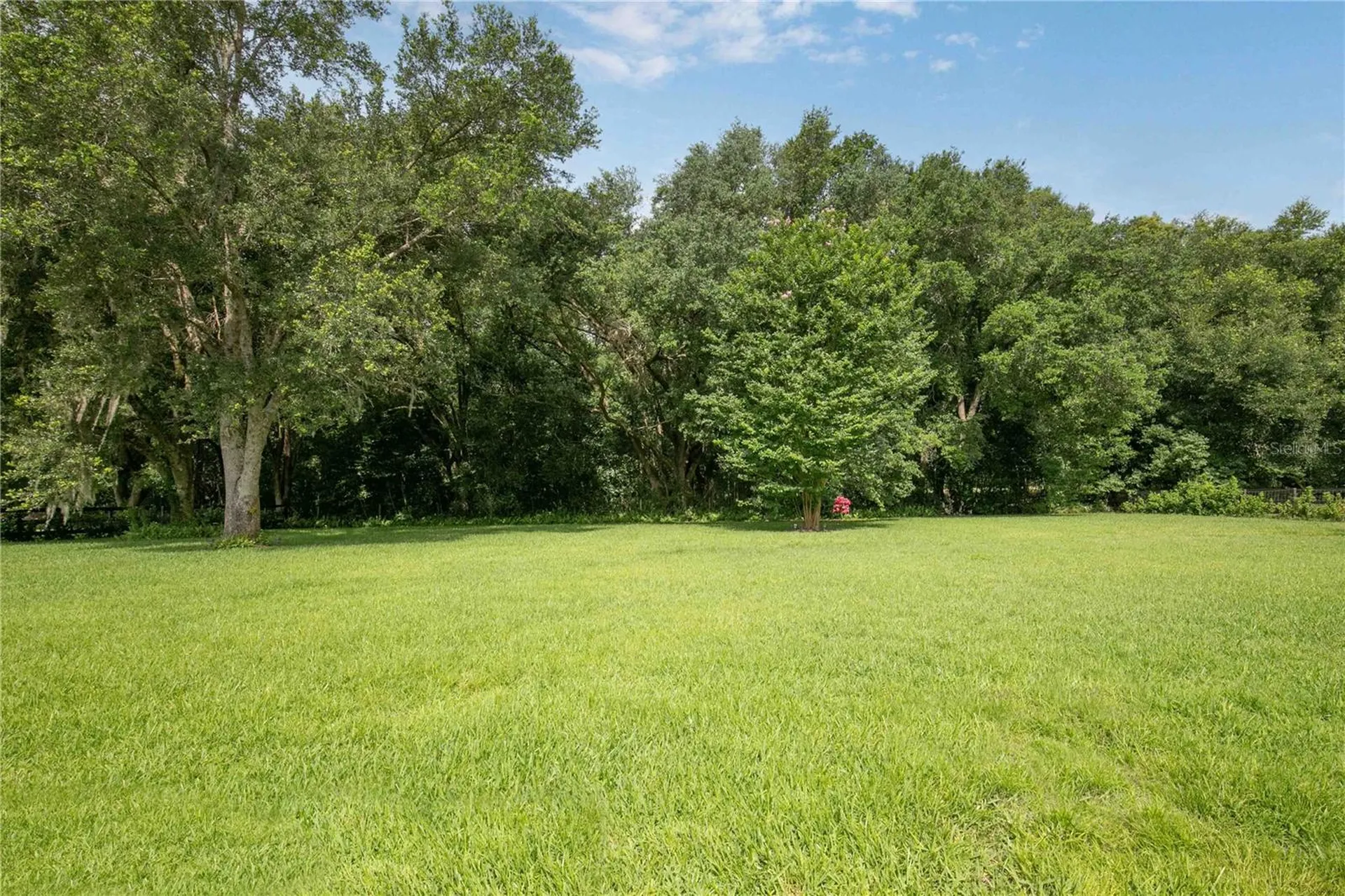 22733 Stallion Drive Sorrento FL 32776