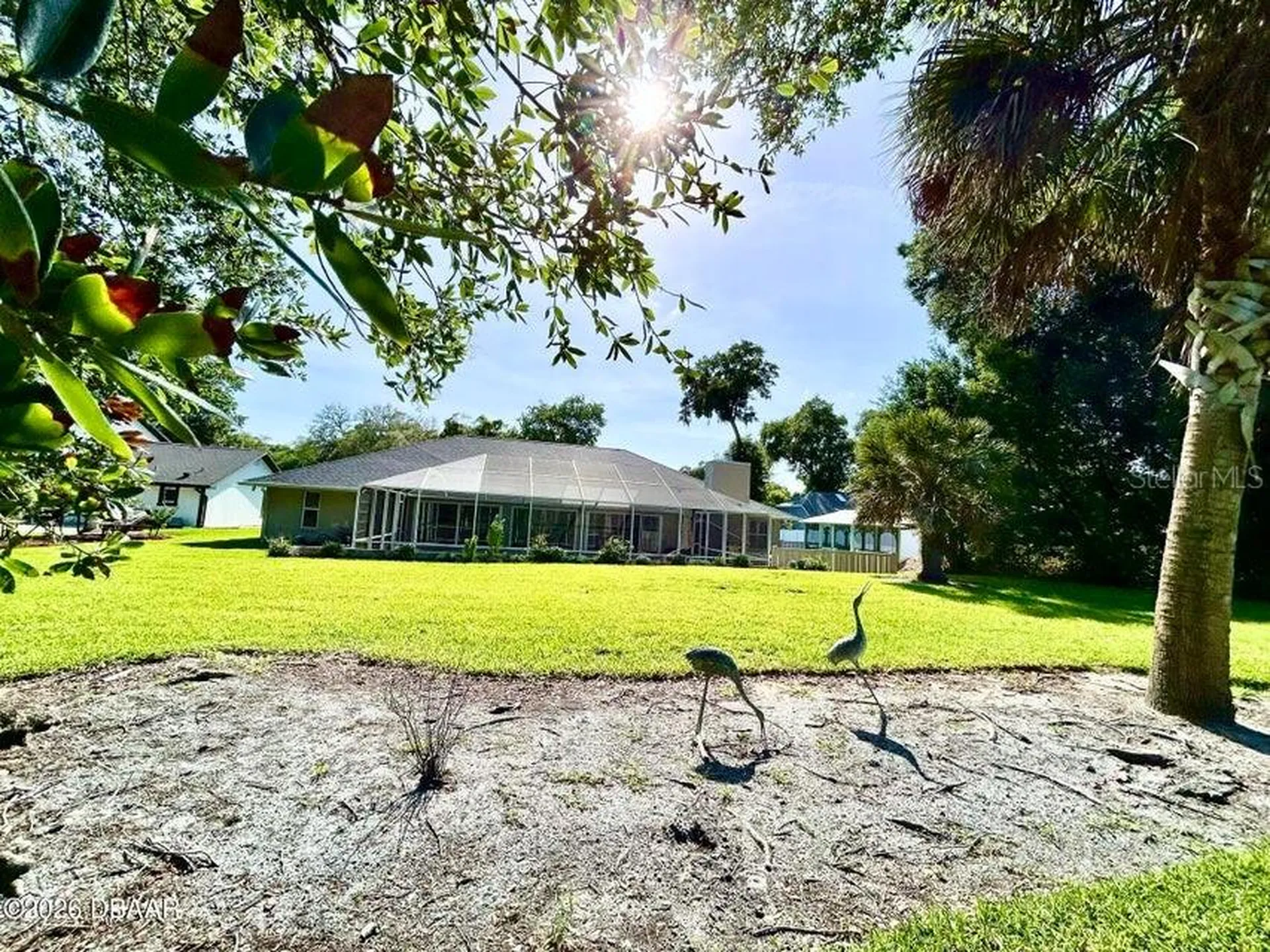 123 Rio Pinar Drive Ormond Beach FL 32174