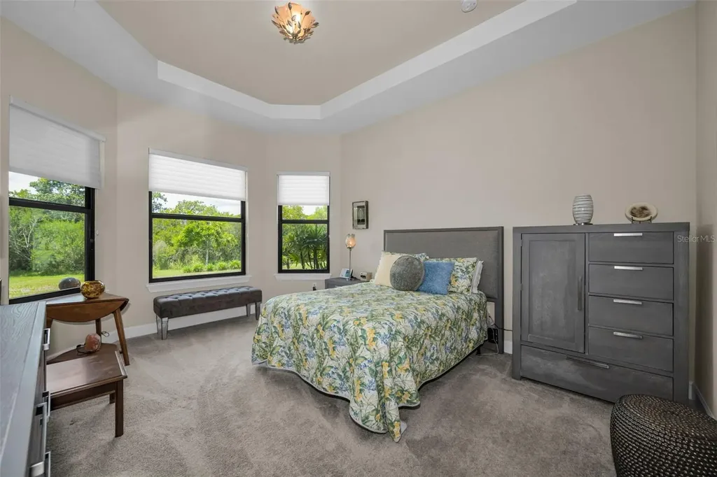 8707 Sorano Villa Drive Tampa FL 33647