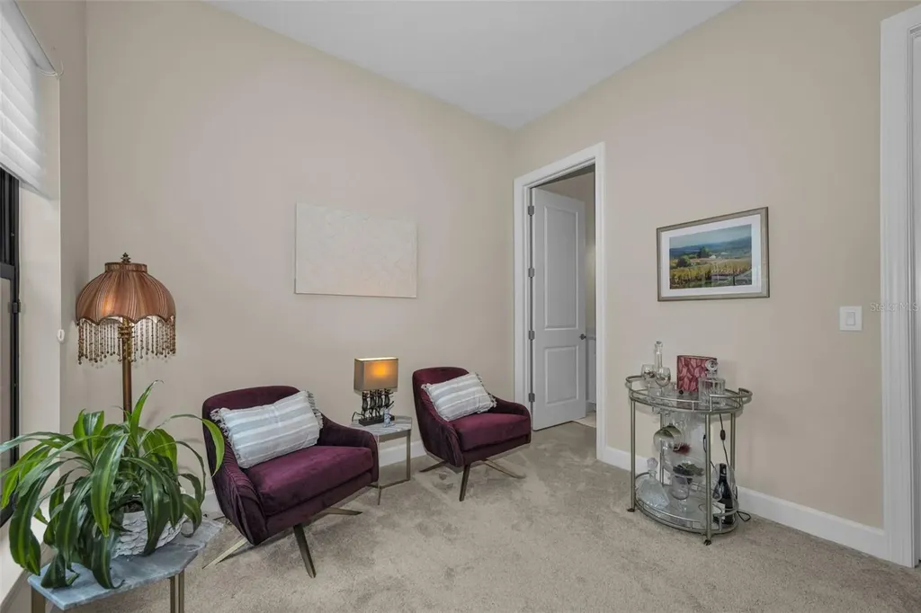 8707 Sorano Villa Drive Tampa FL 33647