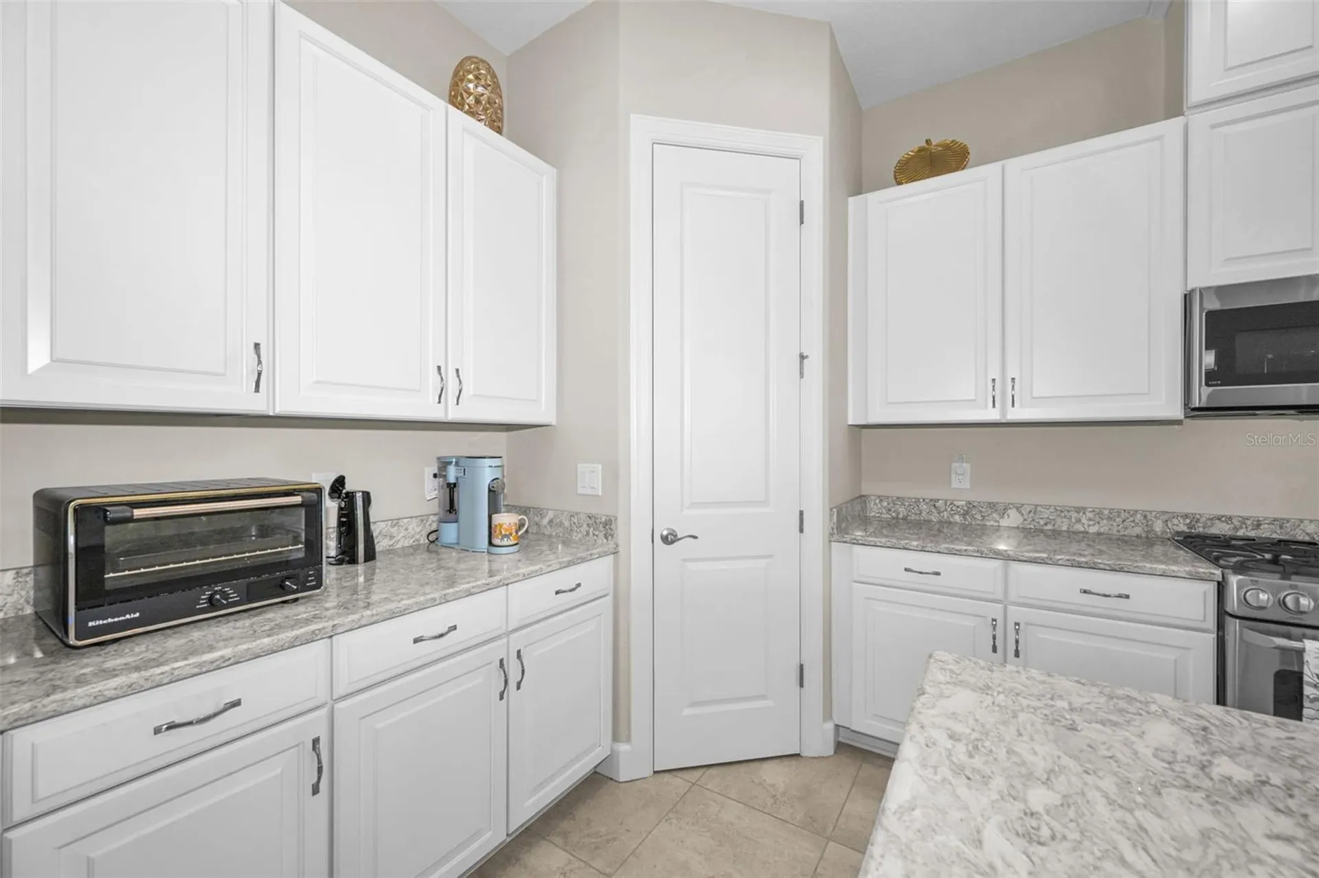 8707 Sorano Villa Drive Tampa FL 33647