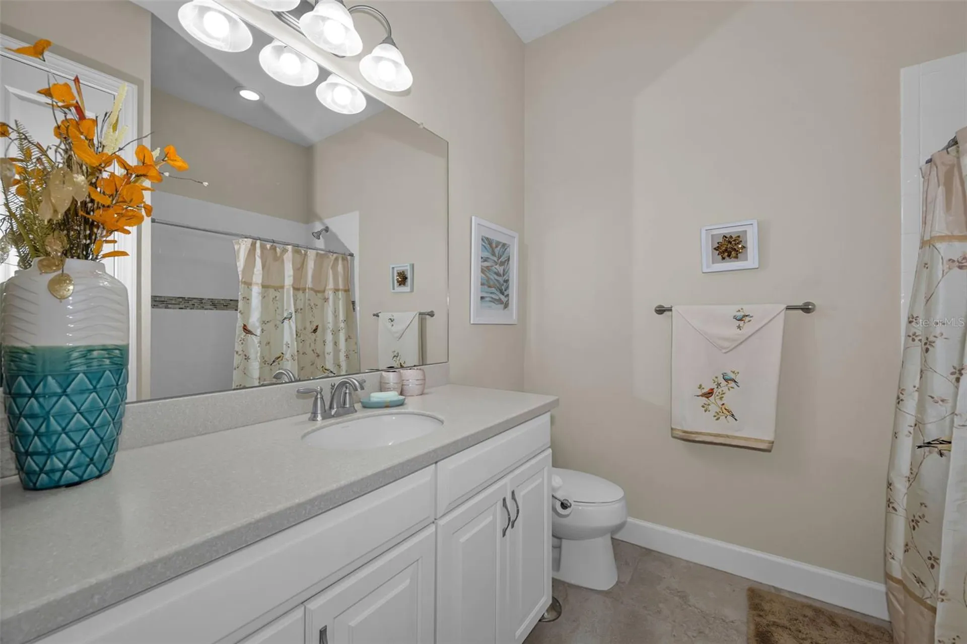 8707 Sorano Villa Drive Tampa FL 33647