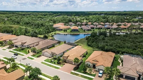 8707 Sorano Villa Drive Tampa FL 33647