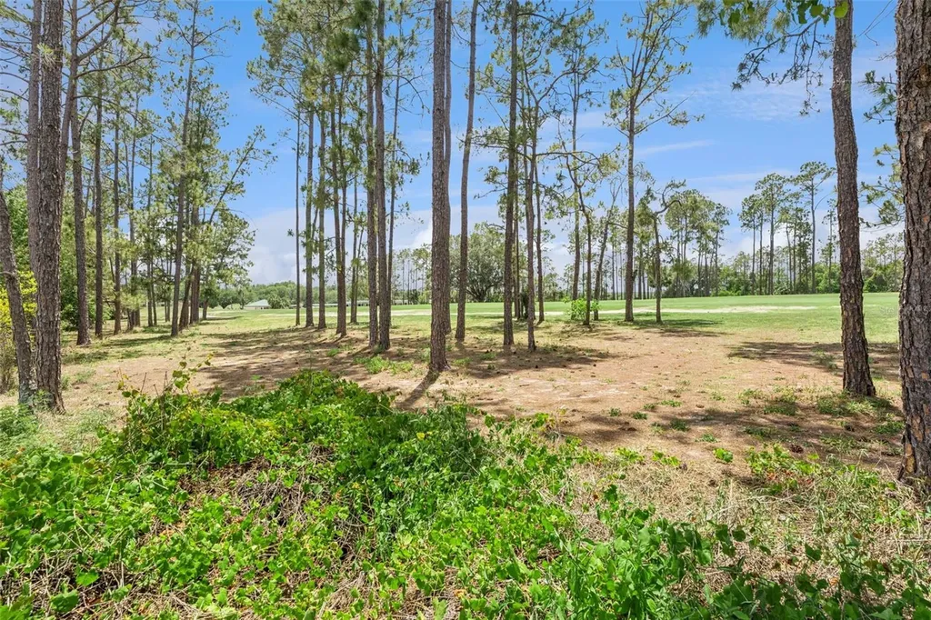 259 N Hampton Davenport FL 33897