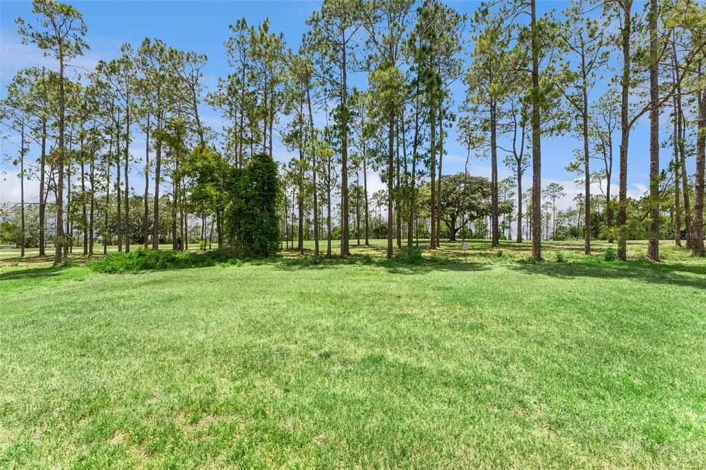 259 Northampton Drive Davenport FL 33897