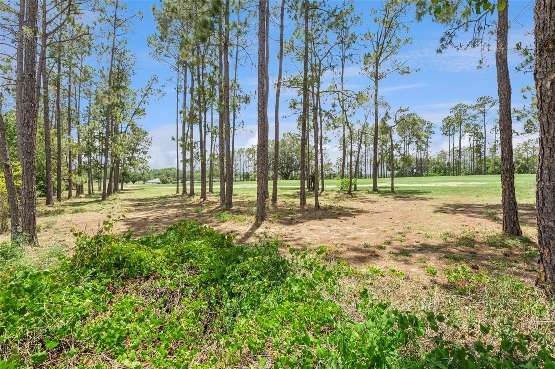 259 Northampton Drive Davenport FL 33897