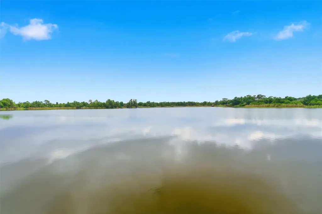 21347 Morning Mist Way Land O Lakes FL 34637