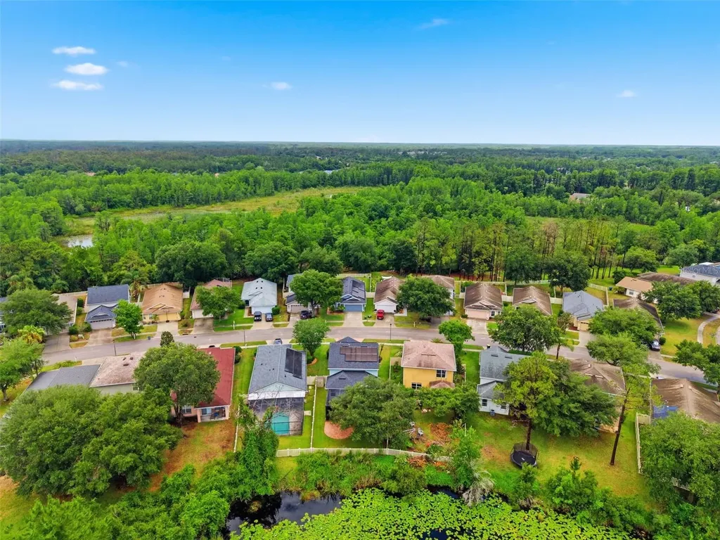 21347 Morning Mist Way Land O Lakes FL 34637