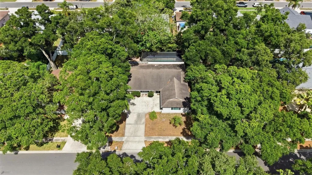 2447 Grove Ridge Drive Palm Harbor FL 34683