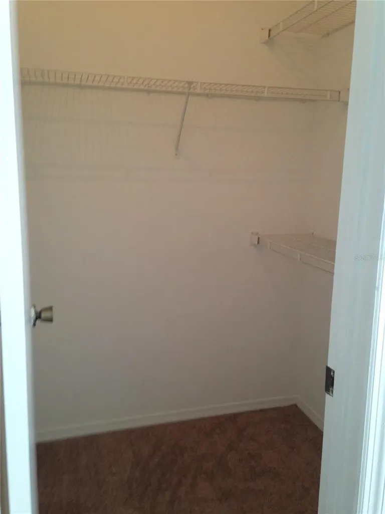 11355 Regal Square Drive Tampa FL 33617