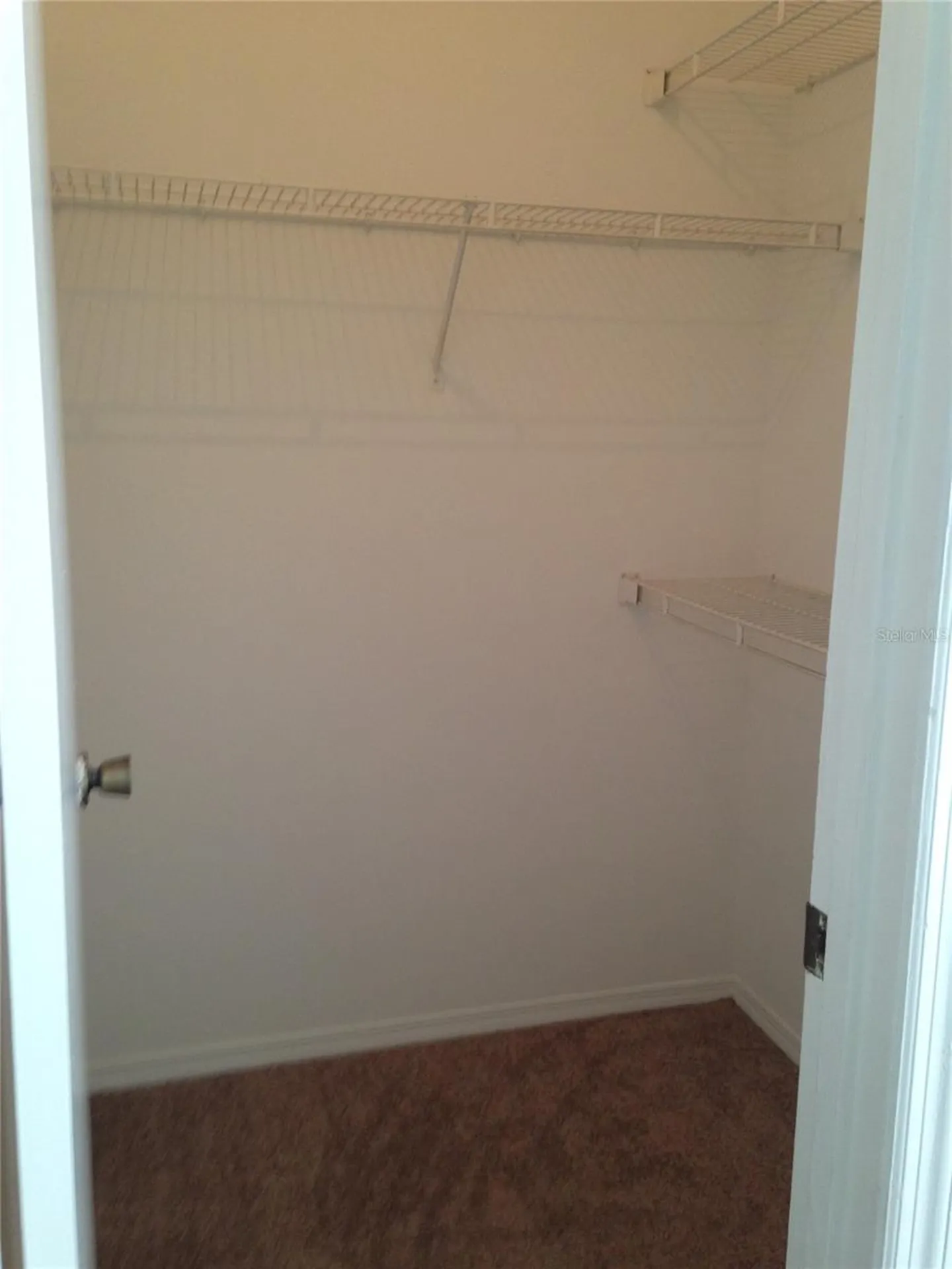 11355 Regal Square Drive Tampa FL 33617