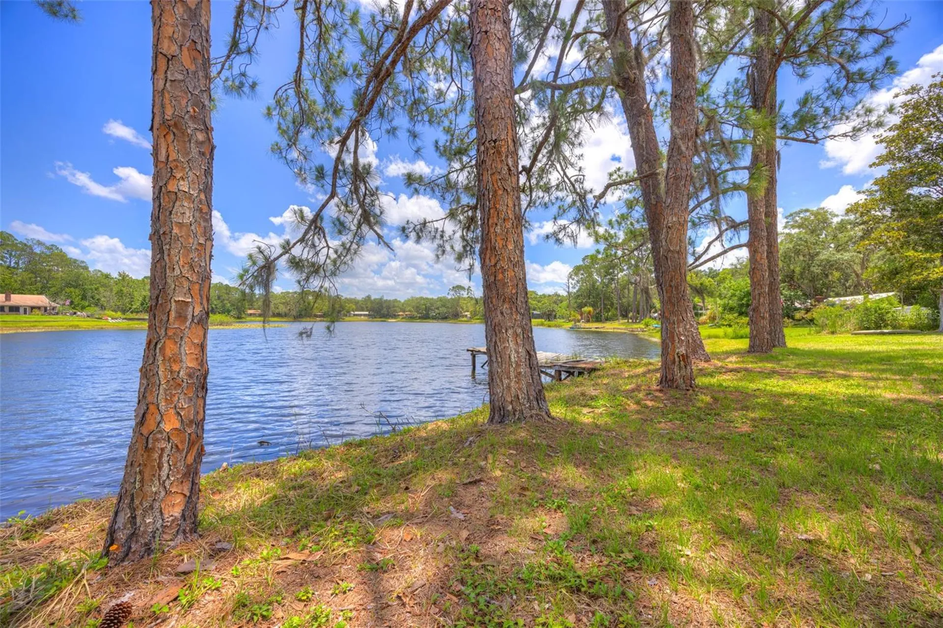 33 Willow Lane Deland FL 32724