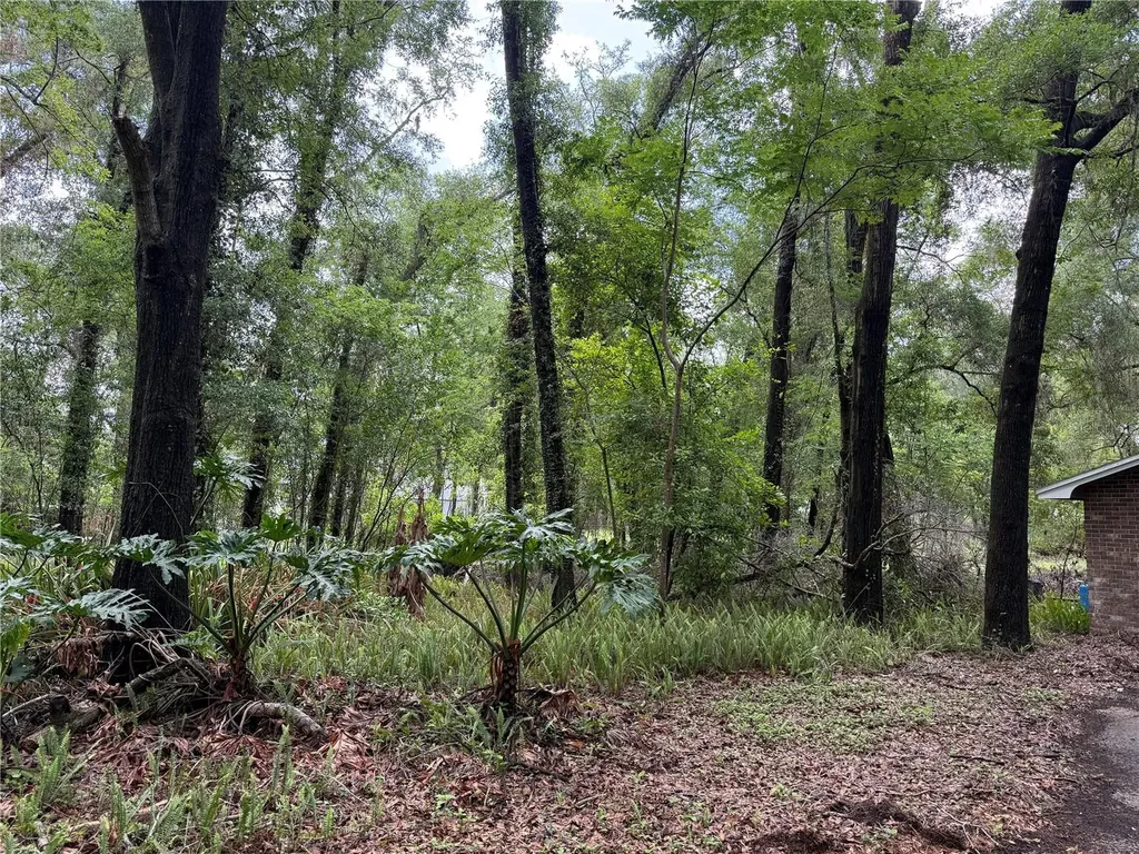 221 SW 138th Terrace Newberry FL 32669