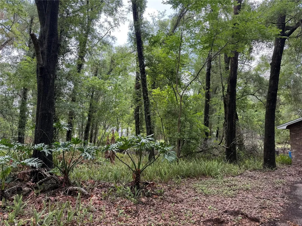 221 SW 138th Terrace Newberry FL 32669