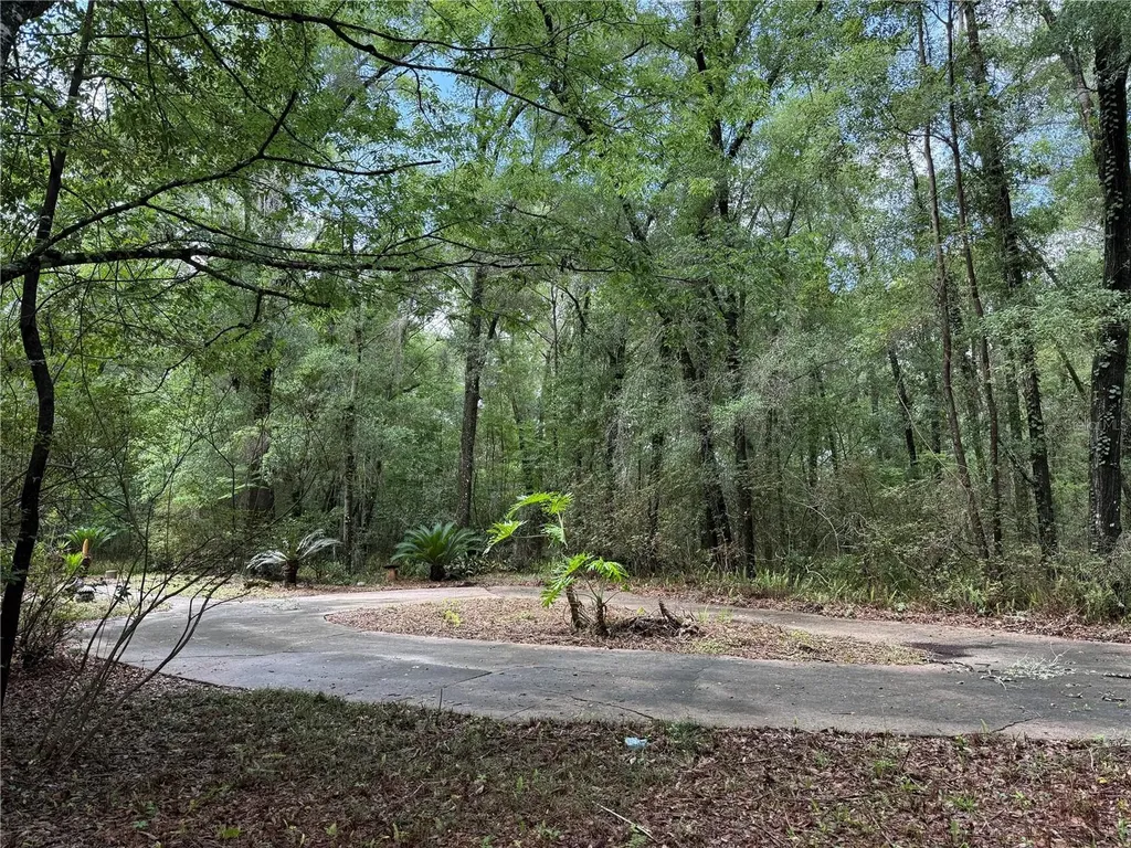 221 SW 138th Terrace Newberry FL 32669