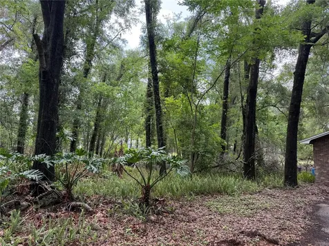 221 SW 138th Terrace Newberry FL 32669