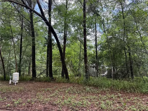 221 SW 138th Terrace Newberry FL 32669