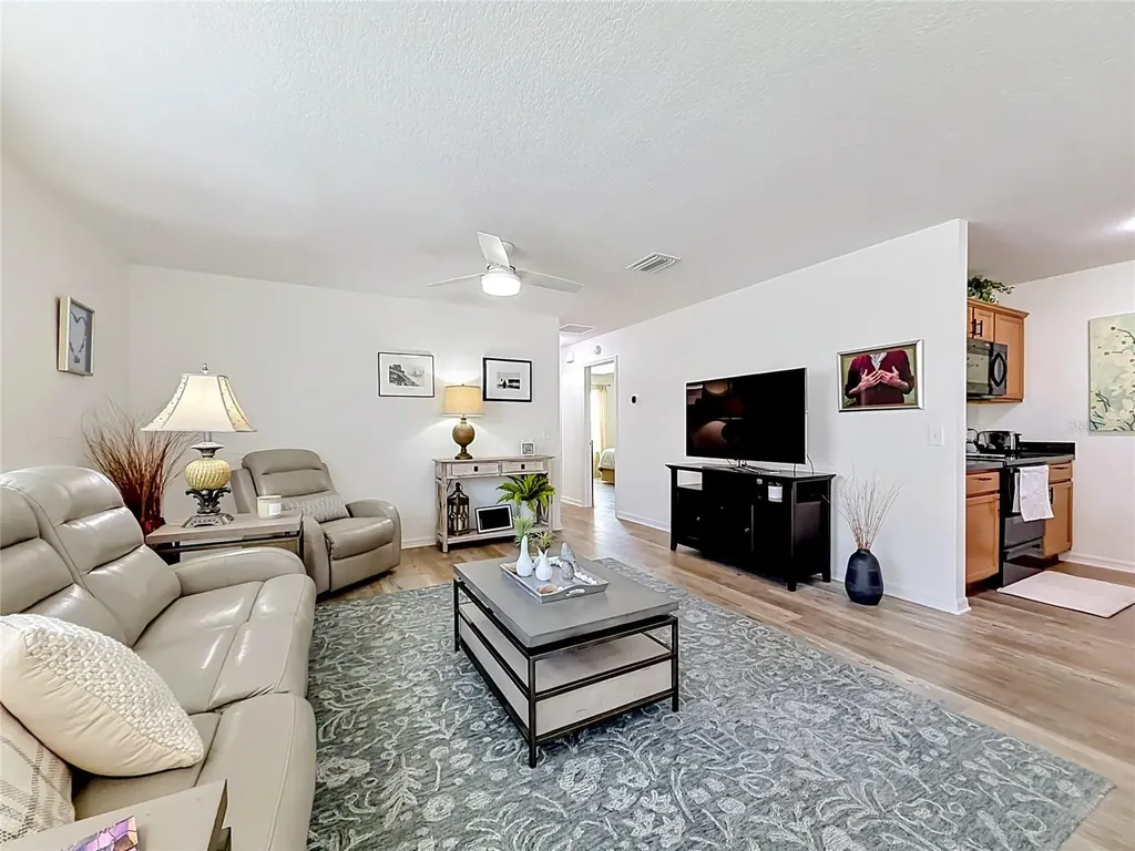 1430 Olympia Street The Villages FL 32163