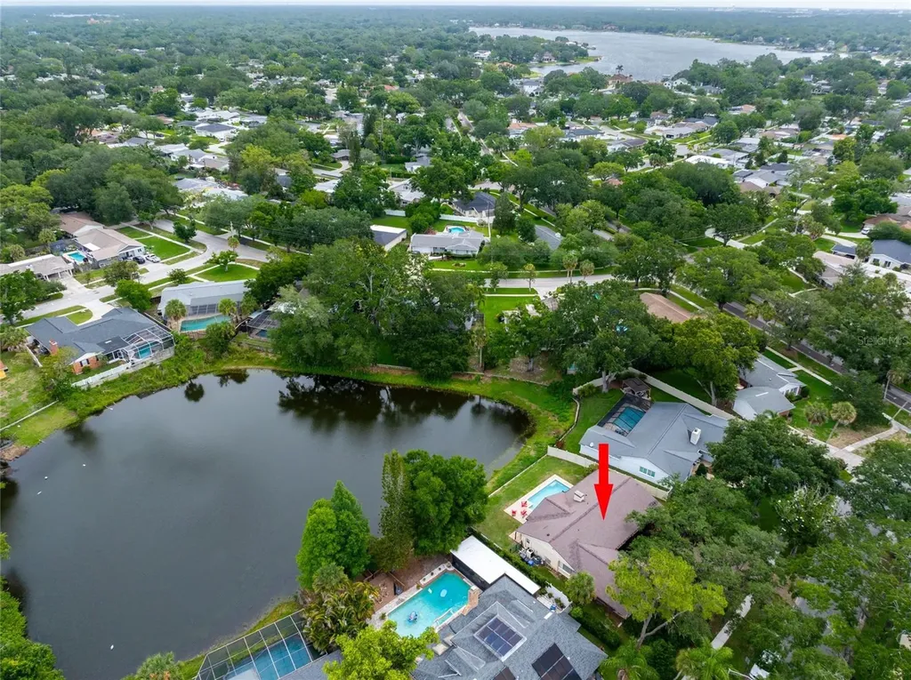 3605 Schefflera Road Tampa FL 33618