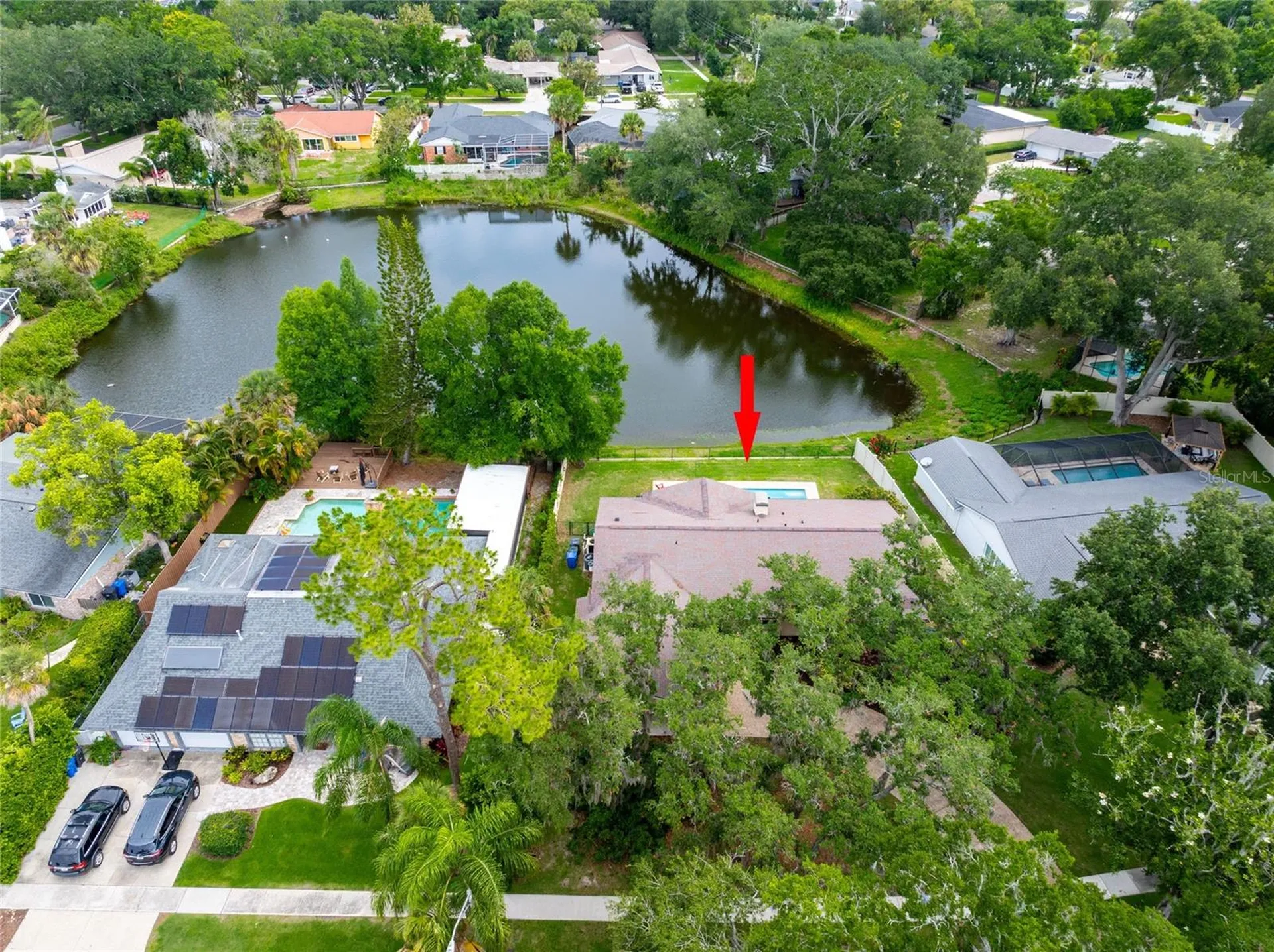 3605 Schefflera Road Tampa FL 33618