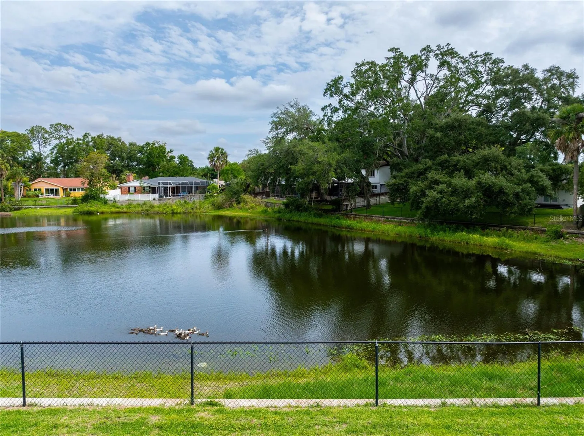 3605 Schefflera Road Tampa FL 33618