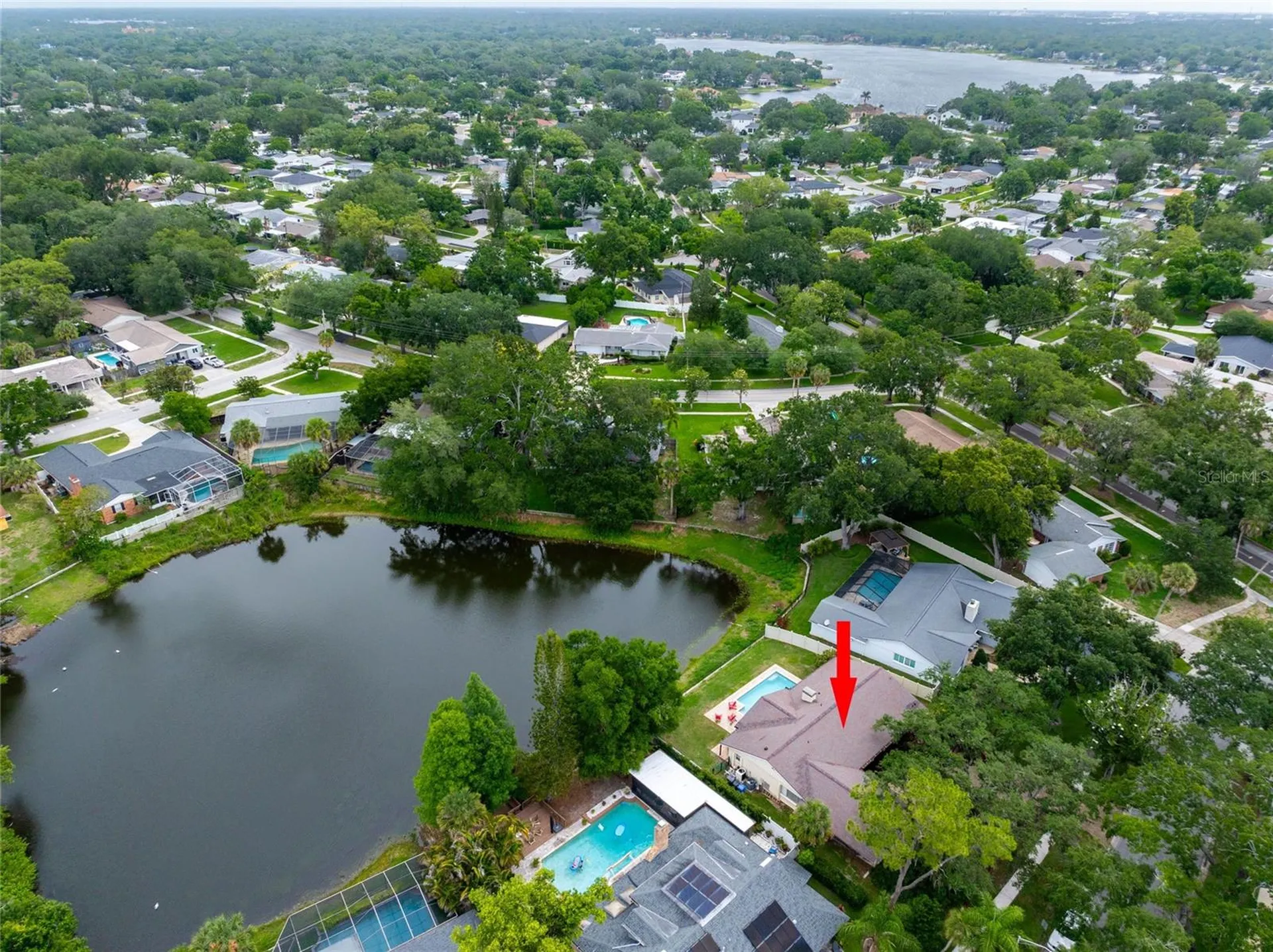 3605 Schefflera Road Tampa FL 33618