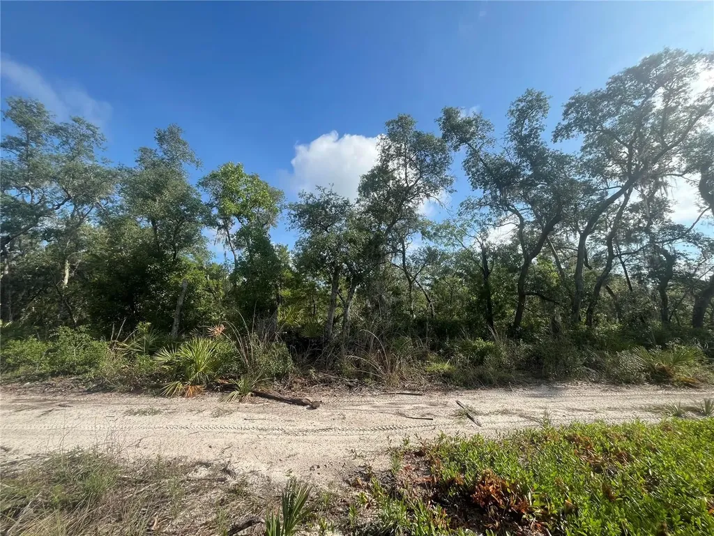 2942 Brownwood Circle Sebring FL 33875