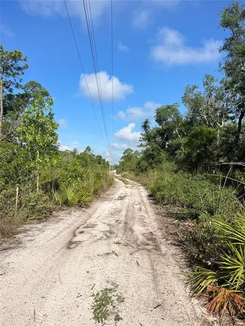 2942 Brownwood Circle Sebring FL 33875