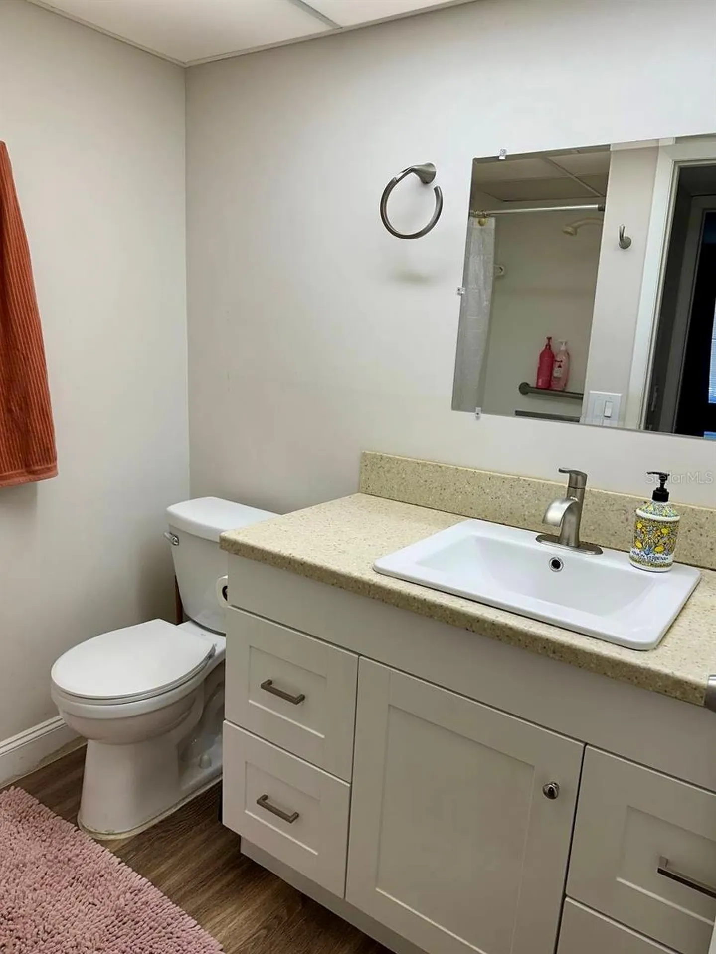 2451 Oak Park Way Orlando FL 32822